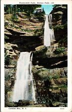 Kaaterskill Falls Haines Falls Catskill Mts New York Vintage Postcard Posted picture