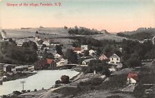 Ferndale New York~Village Birdseye~Homes~Pond~2 Miles From Clyde~1908 Handcolor picture