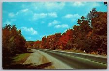 Fall Majesty Country Road Forest Autumn Mountain John V Pontiere Jr VNG Postcard picture