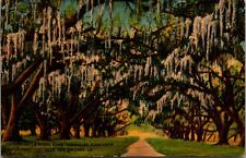 New Orleans Louisiana Versailles Plantation De LA Ronde Oaks Linen Postcard picture