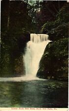 Lower Buck Hill Falls PA Divided Postcard c1910 picture