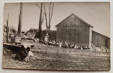 ca 1910s IA RPPC Postcard Clinton Iowa Farm Bldg Woman Feeding Chickens dog AZO picture