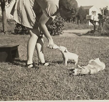 Vintage Photograph Cute Little Pig Being Fed picture
