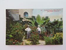 Antique Postcard Tropical Gardens Hotel Virginia Long Beach CA Hand Colored 8297 picture