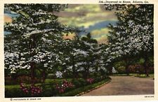 Linen White Border Postcard Atlanta's Dogwoods, 1944 PFC Donato Writing Home picture