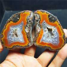 RARE 1 pair 186.5g Natural  Warring States Red Agate Crystal Healing 4154+ picture