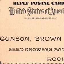1893 Gunson Brown & Company Seed Growers And Merchants Rochester New York picture