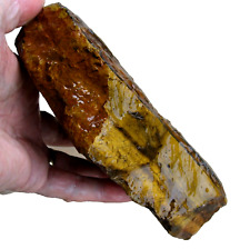 rle GOLD TIGER EYE ROUGH, SO. AFRICA 3.06 lbs. TIGEREYE picture