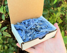 Blue Kyanite Blades Crystal Collection 1/2 lb Box Lot - Natural Kyanite Crystals picture
