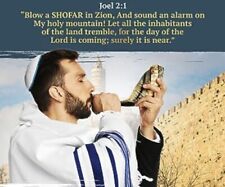 Holy Voice Ram Shofar Handcrafted Kosher  Horn From Israel 12x14 New picture