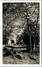Postcard - Vintage Forest Scenery picture