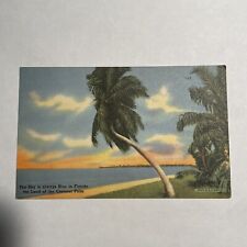 Vintage Postcard The Sky is Always Blue in Florida Land of the Coconut Palm picture