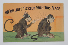 1940s POSTCARD WE'RE JUST TICKLED WITH THIS PLACE, MONKEYS WITH FEATHER picture