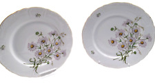 Pair of Beautiful Bohemian China Czech  Purple Daisy 10 Inch Dinner Plates picture