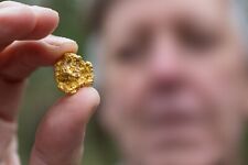 Gold Fever Unleashed: Golden Oasis Blend Premium Paydirt for Serious Prospectors picture