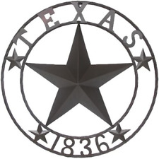 Texas 1836 Metal Star picture