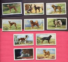 1938 GALLAHER LTD CIGARETTES DOGS SERIES 2 10 TOBACCO CARD LOT picture
