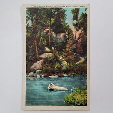 Camel Back At Cascade Park Elyria Ohio Color Lithograph Postcard Posted Divided picture