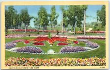 Postcard - A Lovely California Park Scene, USA picture