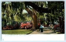 CHARLESTON, South Carolina SC ~ Walk in MAGNOLIA GARDENS c1900s Tuck Postcard picture