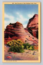 Zion National Park, East Entrance, Series #900, Vintage Souvenir Postcard picture