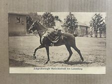 Postcard Luxembourg Royalty Grand Duchess Marie Adelheid Horseback Vintage PC picture