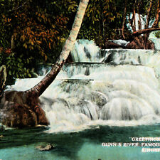 Vintage 1910s Dunn's River Bathing Place Saint Ann Kingston Jamaica Postcard picture