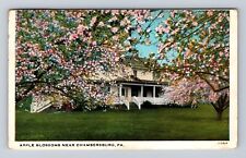 Chambersburg PA-Pennsylvania, Apple Blossoms, Antique, Vintage c1941 Postcard picture