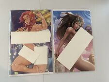 Valkyrie Saviors Key Of Storms - Moonlight Terra And Lingerie Diana Damaged picture