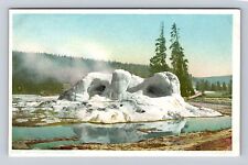 Yellowstone National Park-Grotto Geyser, Antique Vintage Souvenir Postcard picture