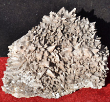 Large DOGTOOTH CALCITE Crystal Mineral Specimen * 5.5x4.5x3