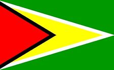 GUYANA 5 X 3 FEET FLAG polyester flags SOUTH AMERICAN GEORGETOWN picture