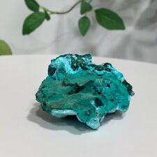65g Natural Dioptase Mineral Specimen Quartz Crystal Cluster Decoration picture