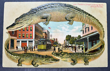 Alligator Border Florida S 566 Franklin Street Looking North Tampa Florida picture