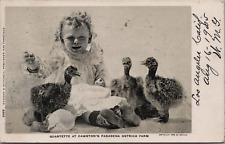 c1905 Cawston's South Pasadena CA Ostrich Farm Girl Baby Ostriches c1898 Photo picture