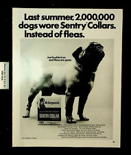 1967 Sergeant's Sentry Collar Dogs Fleas Ticks Pug Vintage Print Ad 27576 picture