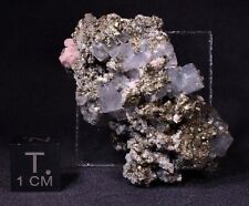 Stunning Fluorite, Pyrite & Rhodochrosite Specimen from Sunnyside Mine, Colorado picture
