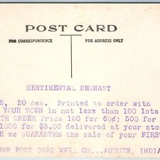 c1910s RARE Pennant Salesman Sample Postcard Auburn Mfg Co Advertising Flag A217 picture