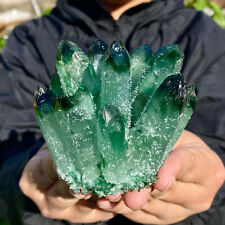 394G New Find Green Phantom Quartz Crystal Cluster Mineral Specimen Healing picture