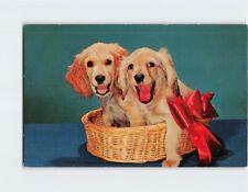 Postcard Cute Pair of Blond Cocker Spaniel Puppies in a Basket picture