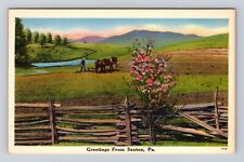 Saxton PA-Pennsylvania, Scenic Greetings, Farming, Antique Vintage Postcard picture