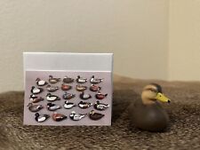 Jett Brunet Ducks unlimited miniature Mottled Duck 2023 #24 picture