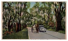 Vicksburg, MS - Highway Scene on U.S. 61 Linen Postcard Posted 1952 Horses Car picture