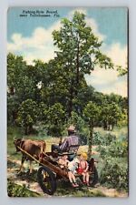 Tallahassee FL-Florida, Fishing Hole Bound, Antique, Vintage Postcard picture