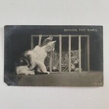 Antique RPPC Real Photograph Postcard Tabby Cat In Jail Cats Rotograph B 1286 picture