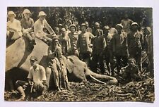 (Circa 1920 vintage) RARE ELEPHANT HUNT Party & Its Prize - Real Photo Postcard picture