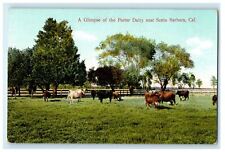 c1910s A Glimpse of the Potter Dairy Near Santa Barbara California CA Postcard picture