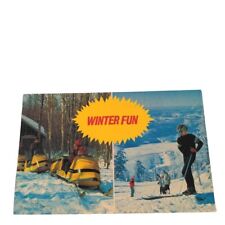 Postcard Winter Fun Greetings from Fall Brook Ontario Skiing Chrome Unposted picture