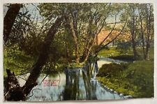 Emery Creek Near Lake City Minnesota Landscape Antique Postcard picture