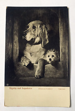 Dignity and Impudence National Gallery Landseer Vintage Postcard picture